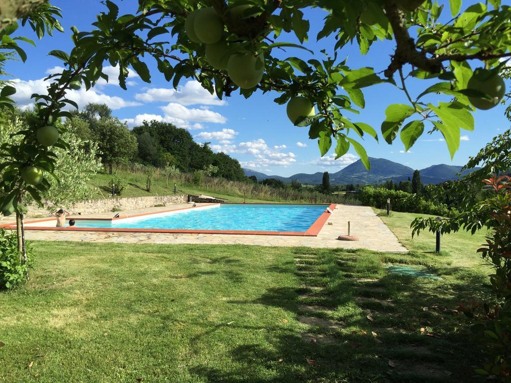 Agricola Caicucci Villa Montone  Phòng bức ảnh