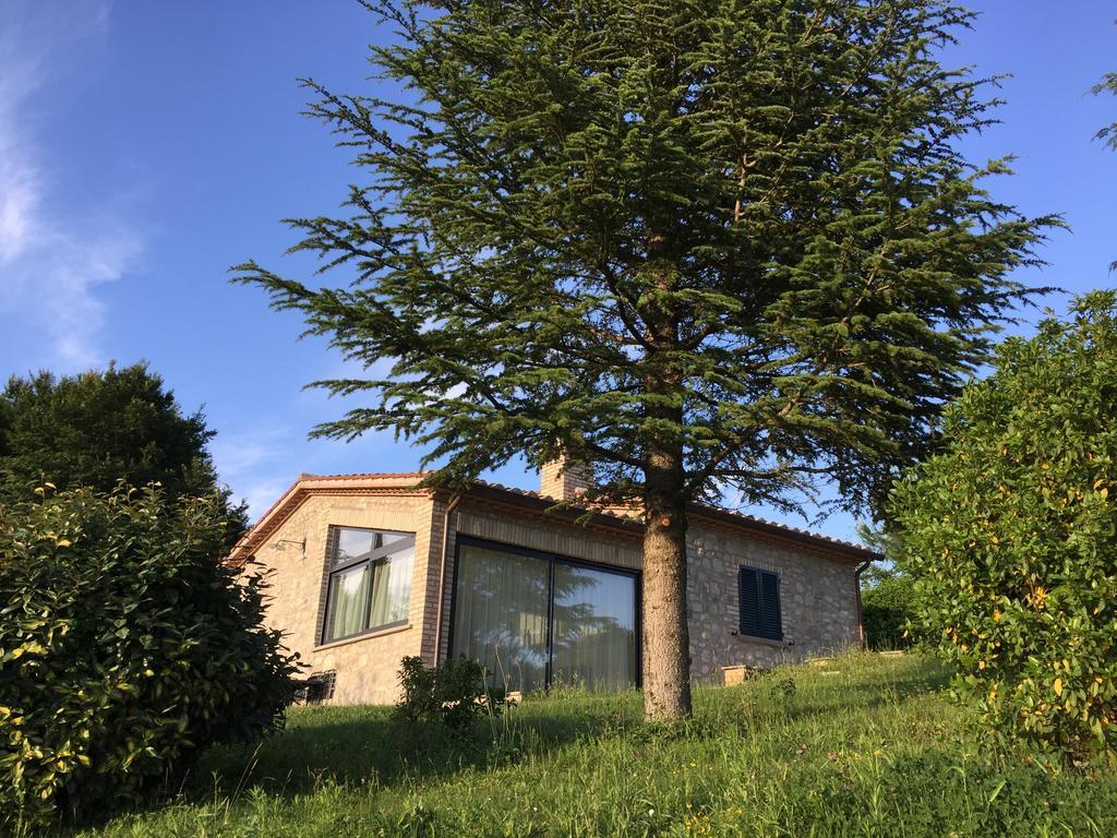 Agricola Caicucci Villa Montone  Phòng bức ảnh