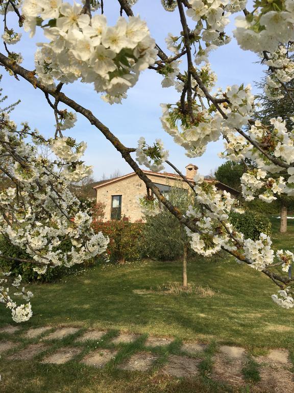 Agricola Caicucci Villa Montone  Ngoại thất bức ảnh